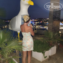 фото из отзыва ID 1978761