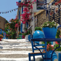 фото из отзыва ID 1978761