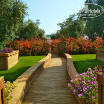 фото из отзыва ID 1978847