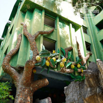 фото из отзыва ID 1978782