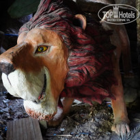 фото из отзыва ID 1978782