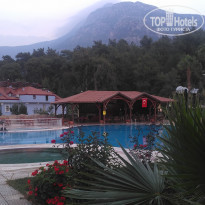 фото из отзыва ID 1978896