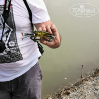 фото из отзыва ID 1978274