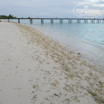 фото из отзыва ID 1978921