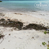 фото из отзыва ID 1978921