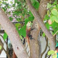 фото из отзыва ID 1978921