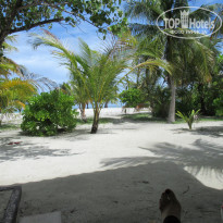 фото из отзыва ID 1978921