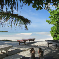 фото из отзыва ID 1978921