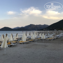 фото из отзыва ID 1979049