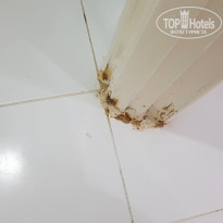 фото из отзыва ID 1979115