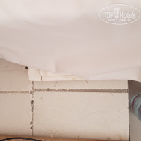 фото из отзыва ID 1979115