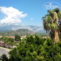 фото из отзыва ID 1979076