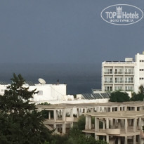 фото из отзыва ID 1979122