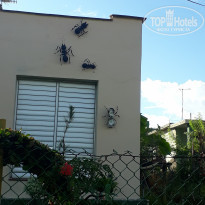 фото из отзыва ID 1979126