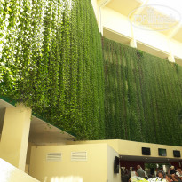 фото из отзыва ID 1979126