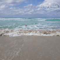 фото из отзыва ID 1979126