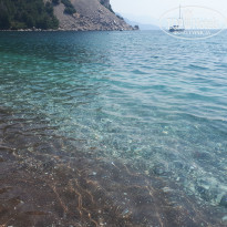 фото из отзыва ID 1979214