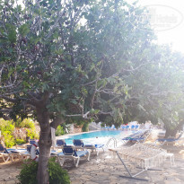 фото из отзыва ID 1979214