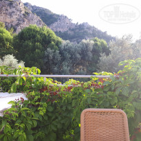 фото из отзыва ID 1979214