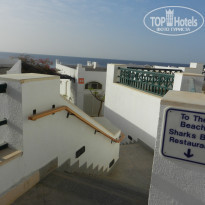 фото из отзыва ID 1979167