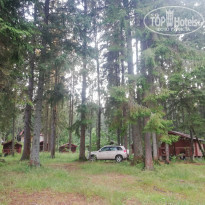 фото из отзыва ID 1979268