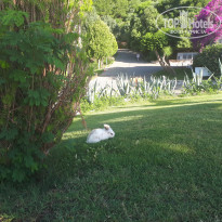 фото из отзыва ID 1979214