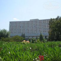 фото из отзыва ID 1979296