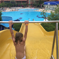 фото из отзыва ID 1979179