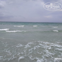 фото из отзыва ID 1979315