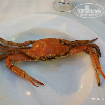 фото из отзыва ID 1979315