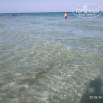 фото из отзыва ID 1979315