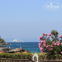 фото из отзыва ID 1979352