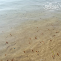 фото из отзыва ID 1979347