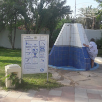 фото из отзыва ID 1979408