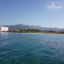 фото из отзыва ID 1979455