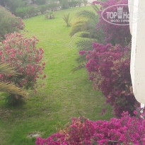 фото из отзыва ID 1979408