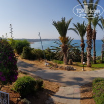 фото из отзыва ID 1979471