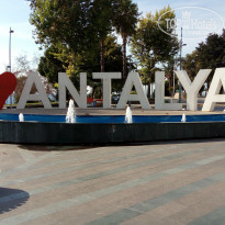 фото из отзыва ID 1979463