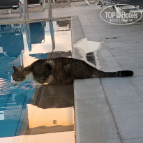 фото из отзыва ID 1979476