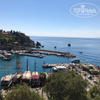 фото из отзыва ID 1979463