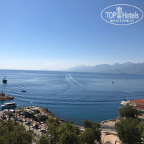 фото из отзыва ID 1979463