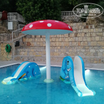 фото из отзыва ID 1979583