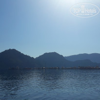 фото из отзыва ID 1979653