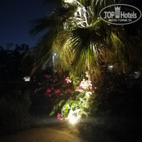 фото из отзыва ID 1977883