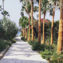 фото из отзыва ID 1979733