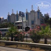 фото из отзыва ID 1979818