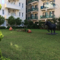 фото из отзыва ID 1979880