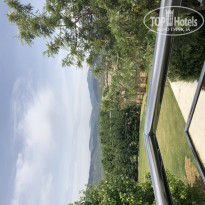 фото из отзыва ID 1979928