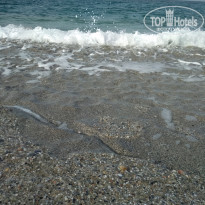 фото из отзыва ID 1979916