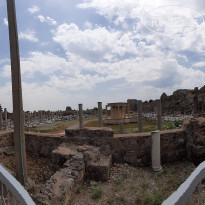 фото из отзыва ID 1979879